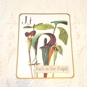 4 for $25! Letter J Jack-in-the-Pulpit Card with Fairy